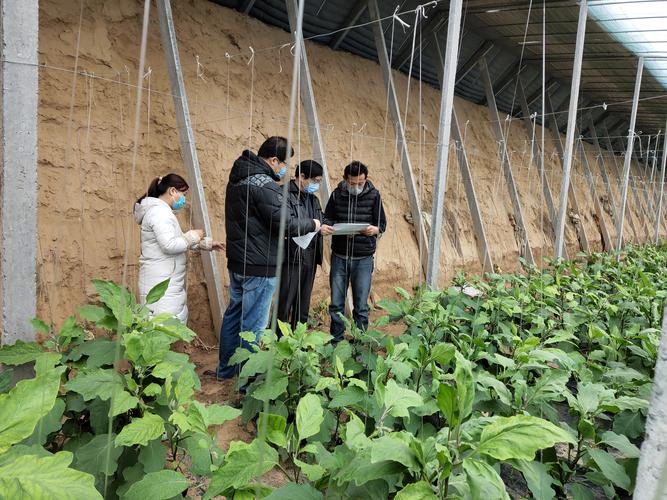 指导生产基地开展《食用农产品合格证》应用,加大蔬菜速测次数