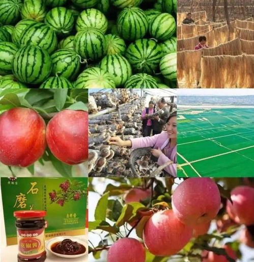 我市7个农产品入选2021年第二批全国名特优新农产品名录