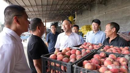 靳国全在牛杜镇调研农机装备发展及果品购销工作