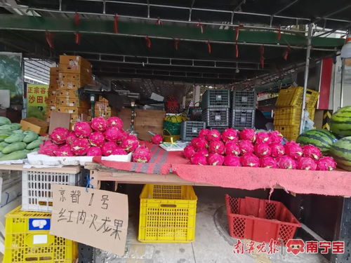 南宁人有口福了 本地火龙果将大量上市 记者提前探 价