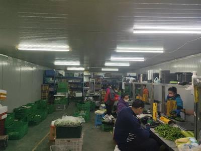 【疫情与三农】多地农业农村厅发文:抓好蔬菜生产,保证疫情期间农产品供给!