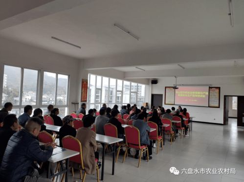 钟山区农业农村局联合乡镇开展农药安全使用暨农产品质量安全生产宣传培训