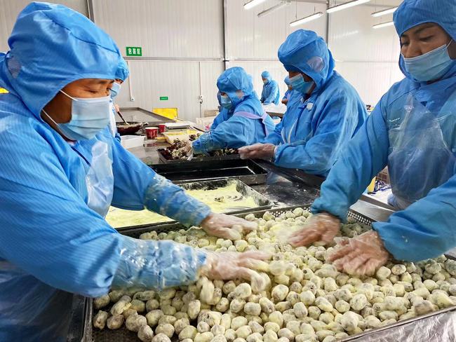 【推动高质量发展调研行】哈密市多措并举推进农产品加工业提.