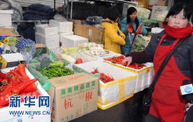 海南蔬菜进京的价格清单 运销户一斤只赚0.14元