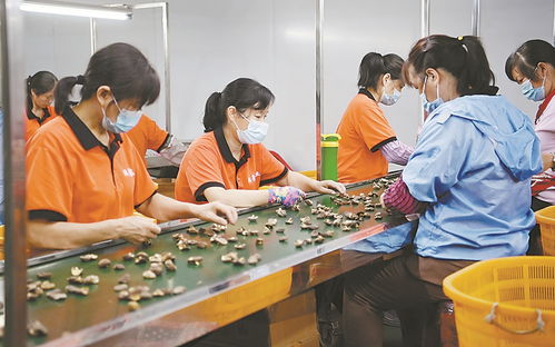 推动农产品走出去