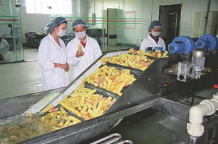 山西 深耕 农产品加工业