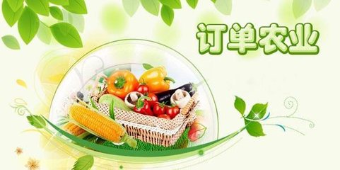 农产品电商未来的五种盈利模式