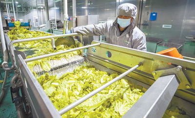 人们越来越推崇环保 低碳 健康 安全的消费理念 绿色消费多起来 消费视窗