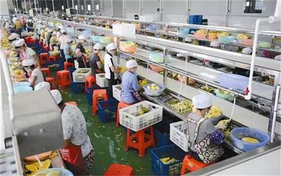 万亿级市场!农产品加工业如何数字化转型与突破