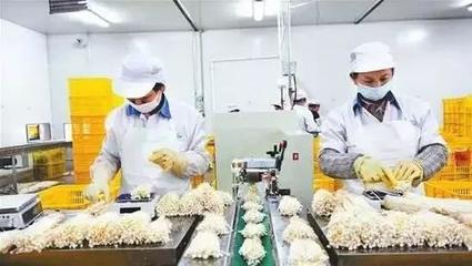 村里这些产业今年要火!农业农村部已明确要支持!看完后赚钱思路大开