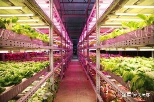 农业上有什么问题,但还没解决的吗
