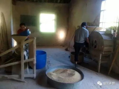 那个年代没有电,大埔很多地方都有水力农产品加工厂