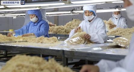 云南农产品出口逆势增长 前10月同比增长8.2%