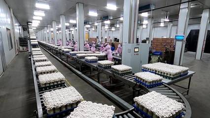 德州:农产品"抢鲜"出海 春节前后市场销售火爆