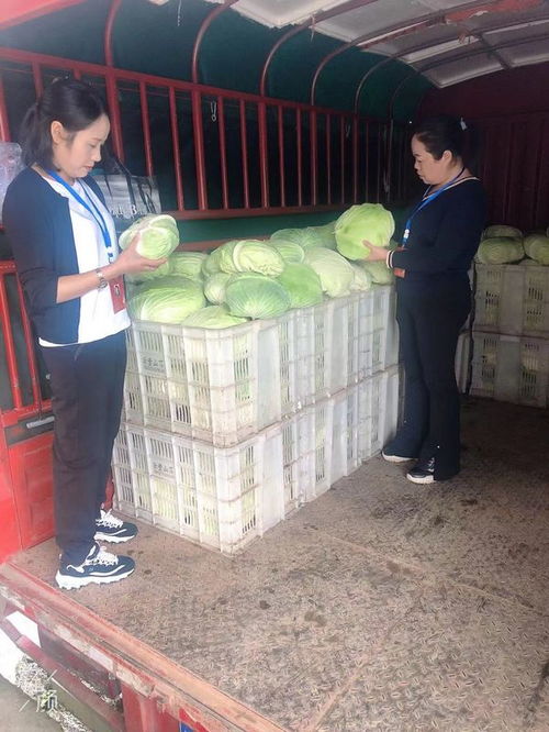 习水产投集团 助力滞销农产品扩销路