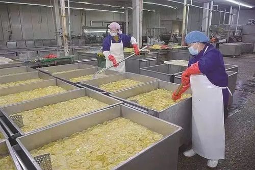 承德积极推进京津冀现代农业协同发展凤凰网河北 凤凰网