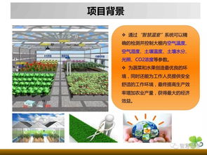 智慧温室 手机上种菜 温室里发财