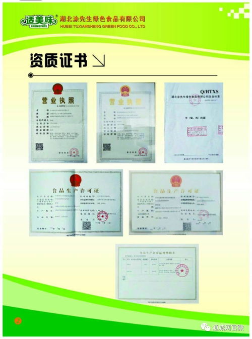 教育 网
