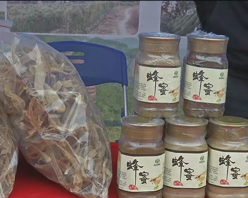 电商农产品商纷纷借互联网 农产品采购会推介自己
