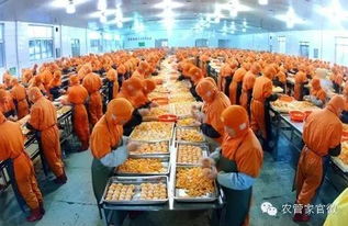 合作社福利 农业部将加大扶持农民合作社兴办