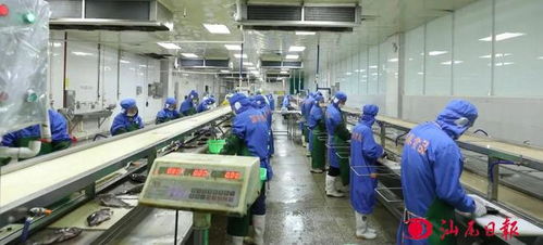 打响汕尾特色品牌 我市大力推进预制菜产业高质量发展透视