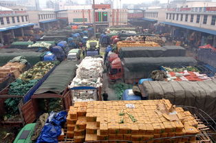 长沙市农产品市场供应充足