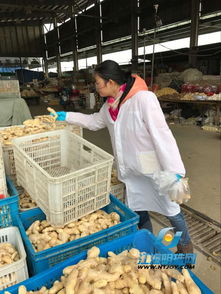 积极引导诚信经营 通农物流让市民放心消费