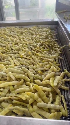 岛城阿豪