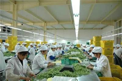 农产品加工:3大政策扶持,6大项目隐藏千万商机!
