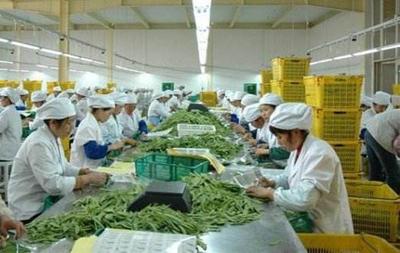 农民在外赚几年钱,回乡镇创业吧,这个项目比打工收入高多了