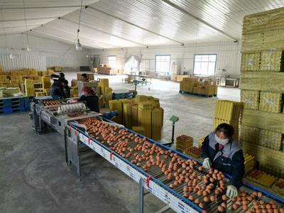 “ 甘味”农产品企业商标品牌