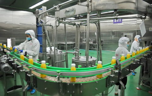 同比增长15.4 南充农产品加速走上 世界货架