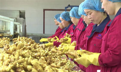 潍坊安丘:强化农产品监管 打造食品农产品质量安全示范区