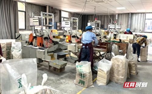 众企拾柴火焰高 湘潭市工商联 万企兴万村 行动全是 干货