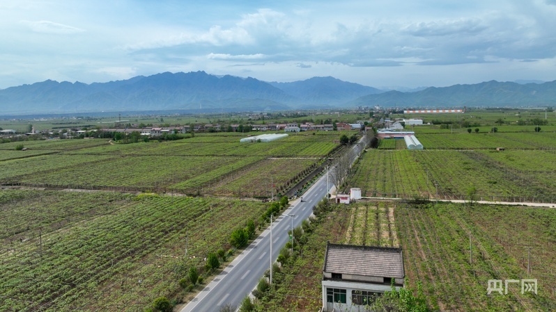乡路上,感受脉动中国|“美丽乡路”服务提质 “地标鲜果”助力振兴