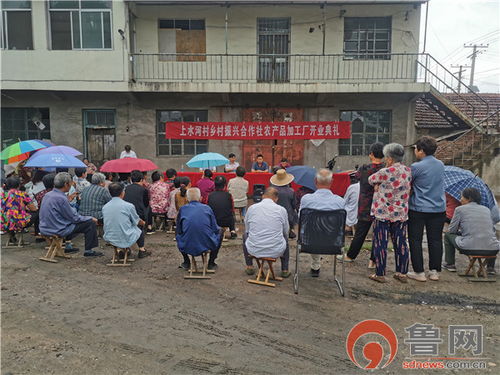 真心为民办实事 促民增收新 路子 济南市莱芜区口镇街道上水河村乡村振兴合作社农产品加工厂开业