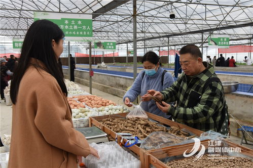 江津富硒农产品田园集市年货节正式开启