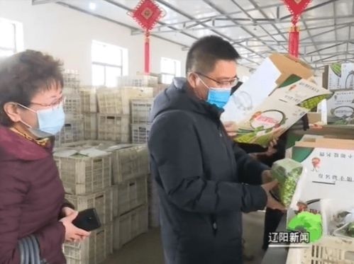 源头管控 保障农产品 舌尖安全