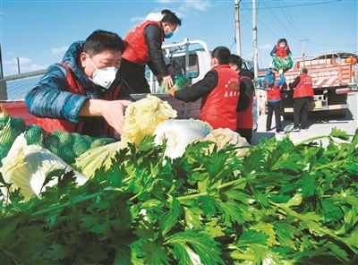 青岛胶州 筹集爱心蔬菜 捐赠支援武汉