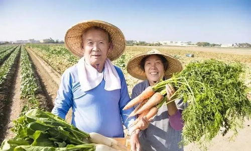 照顾母亲15年,买车要5万被拒,哥哥一句话,15万养老钱全给他