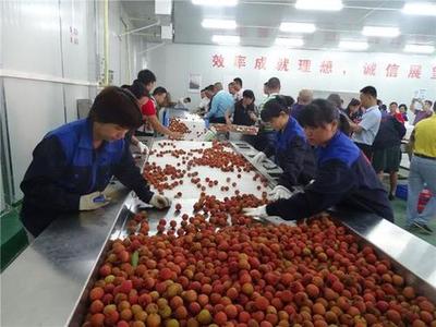 黔东南蔬菜批发-农产品配送-免费送达