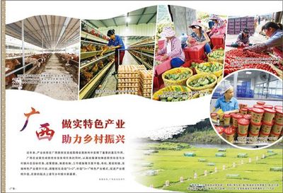 广西 做实特色产业 助力乡村振兴