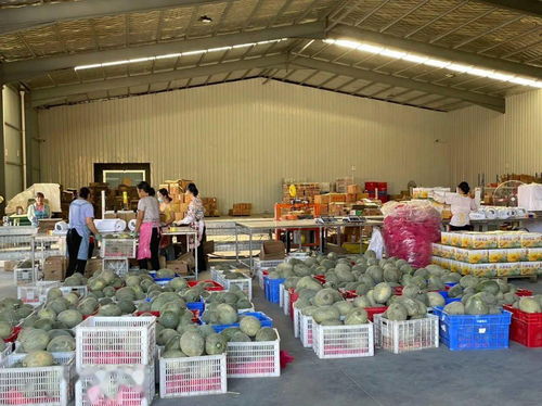 新疆农产品电商出疆,首选这里 中转