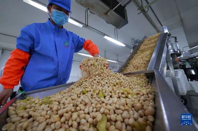 贵州绥阳 特色农产品产业助力农民增收，拓宽销售新路径