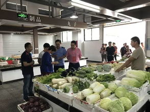 构筑食品安全防火墙 撑起群众健康保护伞——义亭人大开展农贸市场食品安全监督检查活动