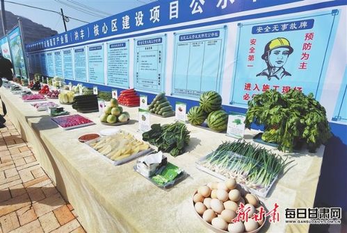 培育新质生产力 激发三农发展活力——甘肃省春季农业生产现场推进会议观摩活动的观察与农产品销售思考