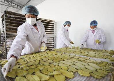 河北农产品加工业年产值破万亿大关，实现十年翻番