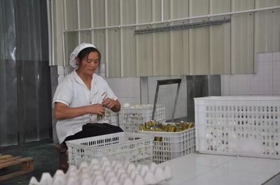 资阳丹山 电商赋能特色农产品，加工厂引领销售新方向