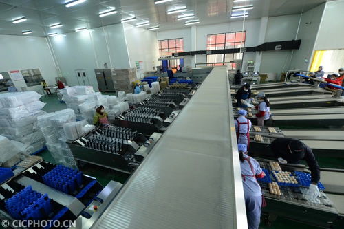 江苏太仓农产品生产稳定,市场供应有保障