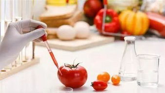 农产品的销售 从田间到餐桌的旅程